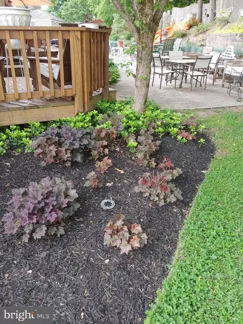 Other - 14908 Village Gate Dr, Silver Spring, MD 20906 photo 13 of 14