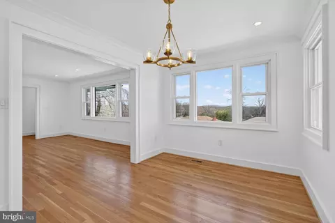 Other - 10224 Green Forest Dr, Silver Spring, MD 20903 photo 2 of 11