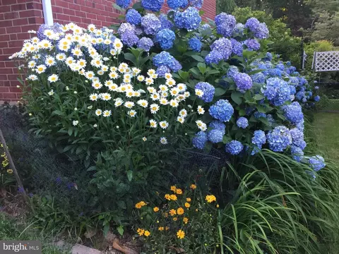 Exterior - 935 Loxford Ter, Silver Spring, MD 20901 photo 7 of 7