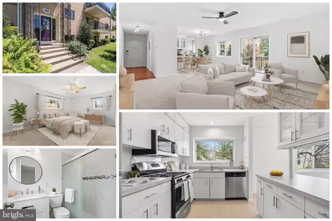 10606 Montrose Ave #203, Bethesda, MD 20814