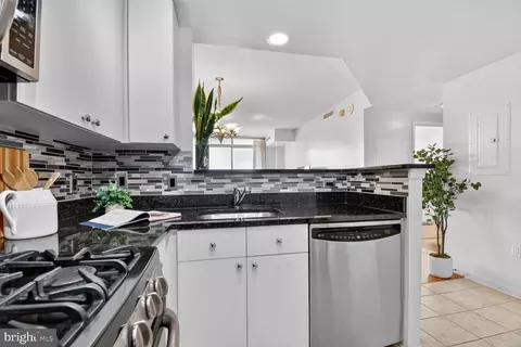 930 Wayne Ave #1302, Silver Spring, MD 20910 photo 23