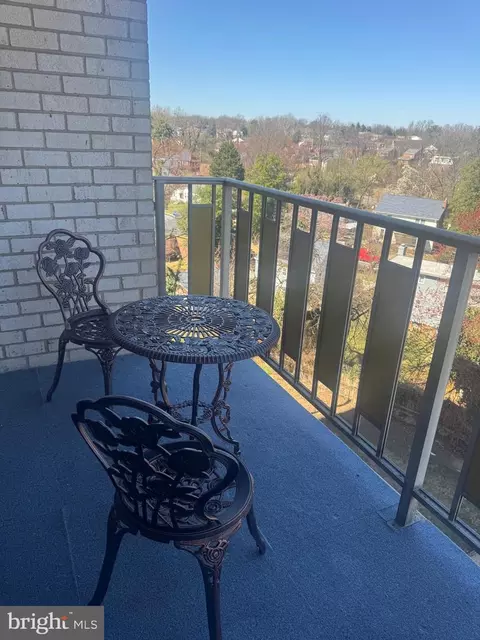 8830 Piney Branch Rd #803, Silver Spring, MD 20903 photo 39