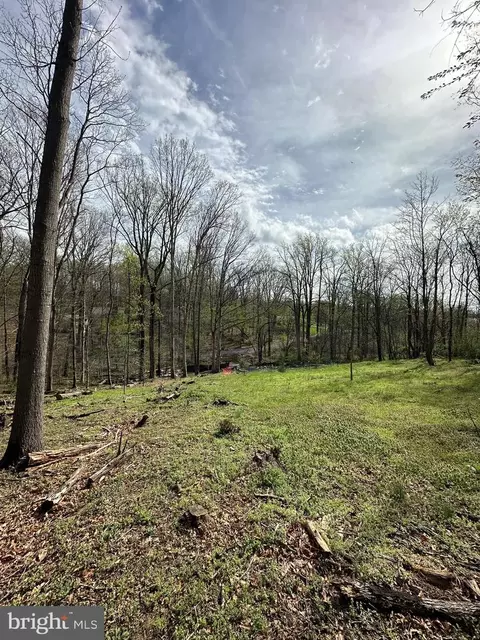 Kingstead Road, Damascus, MD 20872 photo 6