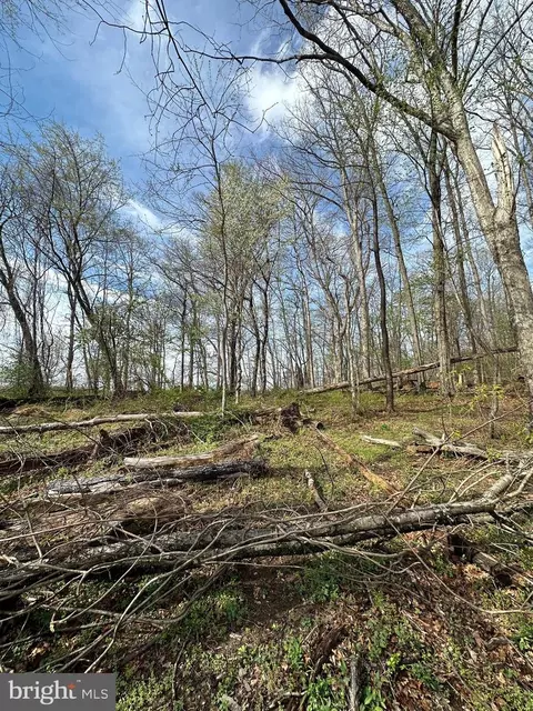 Kingstead Road, Damascus, MD 20872 photo 8