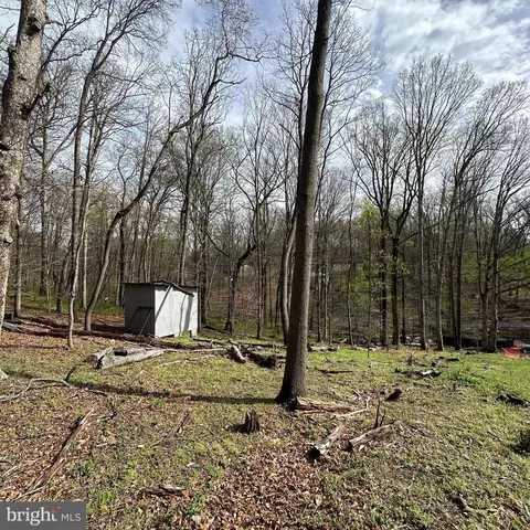 Kingstead Road, Damascus, MD 20872 photo 7
