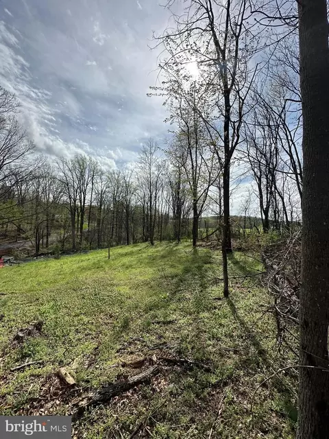 Kingstead Road, Damascus, MD 20872 photo 5