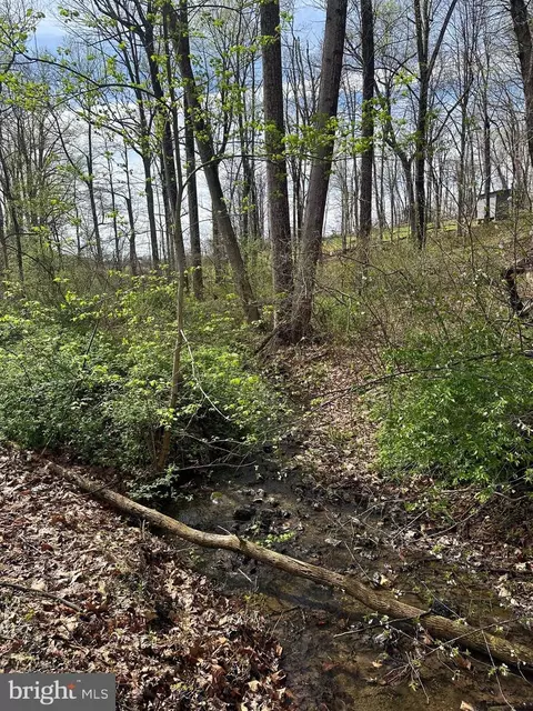 Kingstead Road, Damascus, MD 20872 photo 17