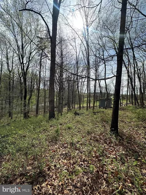 Kingstead Road, Damascus, MD 20872 photo 21