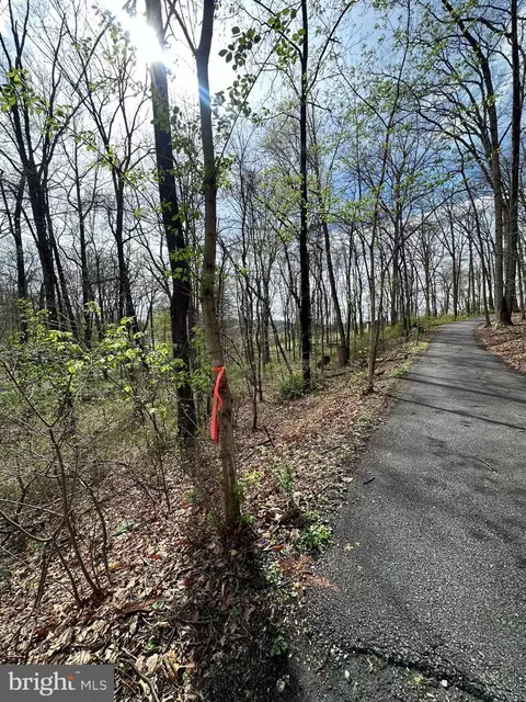 Kingstead Road, Damascus, MD 20872 photo 19