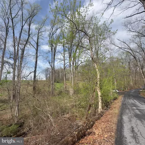 Kingstead Road, Damascus, MD 20872 photo 14