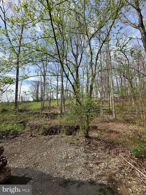 Kingstead Road, Damascus, MD 20872 photo 16