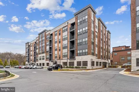 3505 Bellflower Ln #408, Rockville, MD 20852