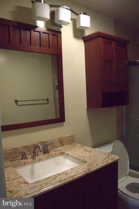 Bath - 17 Habersham Ct, Silver Spring, MD 20906 photo 2 of 5