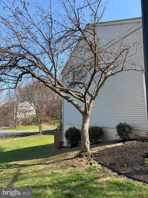 Exterior - 17 Habersham Ct, Silver Spring, MD 20906 photo 4 of 5