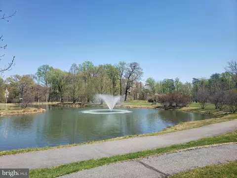 View/Area - 15115 Interlachen Dr #3-515, Silver Spring, MD 20906 photo 1 of 3