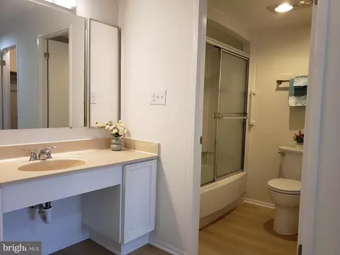 Bath - 15115 Interlachen Dr #3-515, Silver Spring, MD 20906 photo 1 of 1