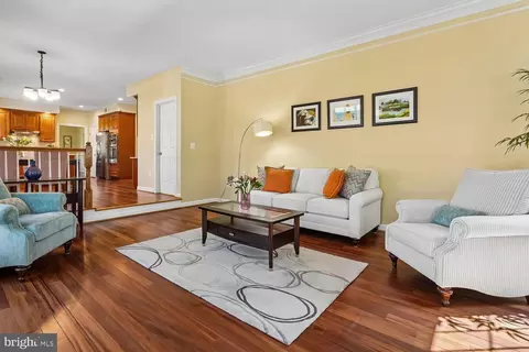 Living - 13236 Maplecrest Dr, Potomac, MD 20854 photo 3 of 4