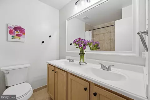 Bath - 15108 Centergate Dr, Silver Spring, MD 20905 photo 2 of 3