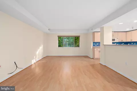 Living - 7981 Eastern Ave #219, Silver Spring, MD 20910 photo 6 of 8