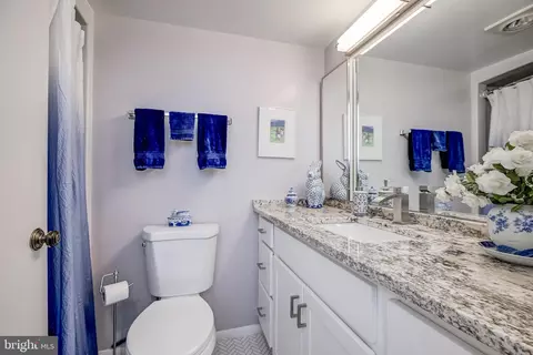 15100 Interlachen Dr #4-521, Silver Spring, MD 20906 photo 37