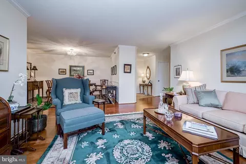 15100 Interlachen Dr #4-521, Silver Spring, MD 20906 photo 14