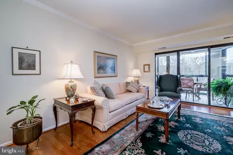 15100 Interlachen Dr #4-521, Silver Spring, MD 20906 photo 13