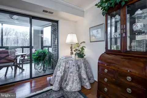 15100 Interlachen Dr #4-521, Silver Spring, MD 20906 photo 15
