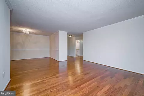 15100 Interlachen Dr #4-521, Silver Spring, MD 20906 photo 52