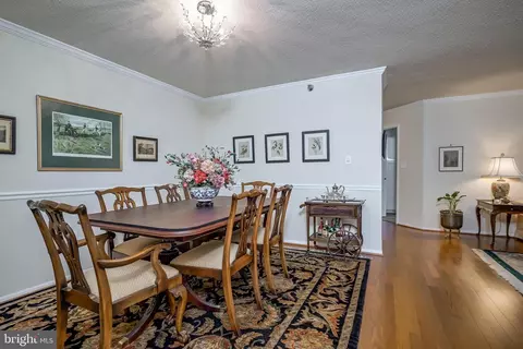 15100 Interlachen Dr #4-521, Silver Spring, MD 20906 photo 28