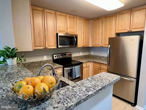 11700 Old Georgetown Rd #303, North Bethesda, MD 20852