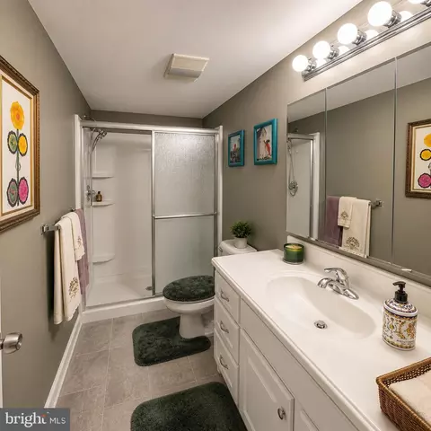 Bath - 15107 Interlachen Dr #2-110, Silver Spring, MD 20906 photo 1 of 1