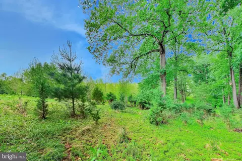 13513 Moonlight Trail Dr, Silver Spring, MD 20906 photo 71