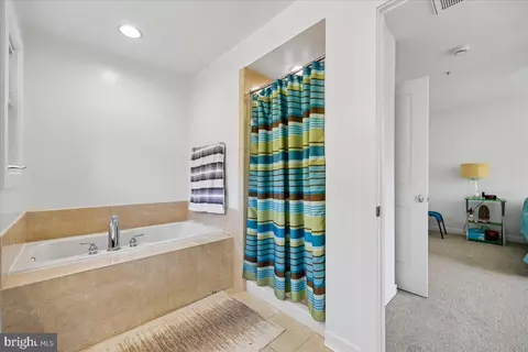 Bath - 3410 Snow Cloud Ln, Silver Spring, MD 20904 photo 2 of 4