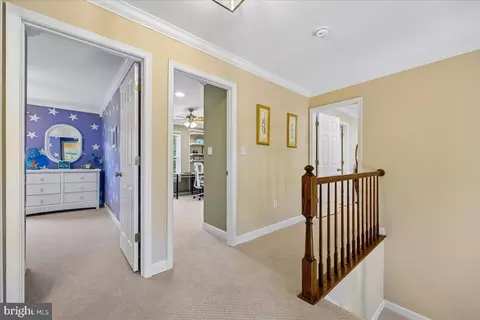 Entry Way - 14304 Shoreham Dr, Silver Spring, MD 20905 photo 14 of 14