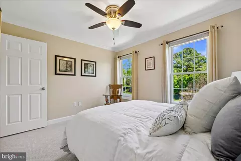 Bedroom - 14304 Shoreham Dr, Silver Spring, MD 20905 photo 6 of 10