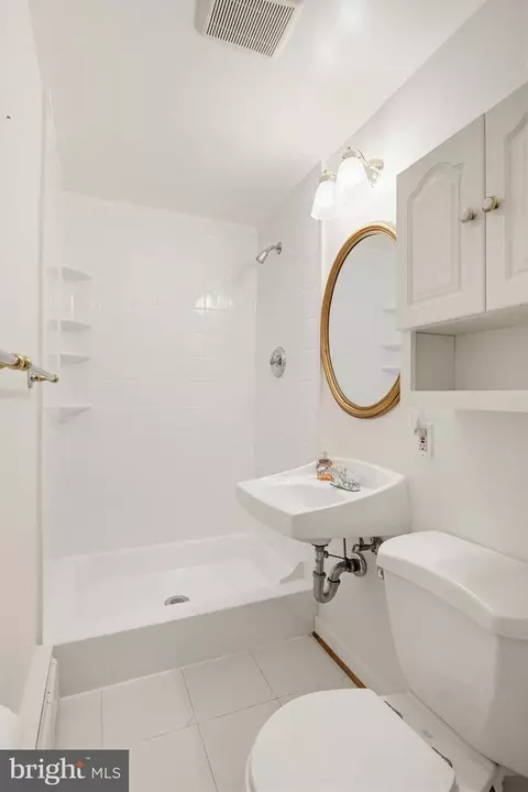 Bath - 504 Waterford Rd, Silver Spring, MD 20901 photo 8 of 8