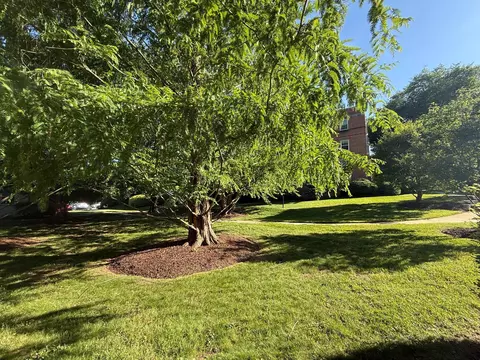 Exterior - 2202 Colston Dr #102, Silver Spring, MD 20910 photo 3 of 12