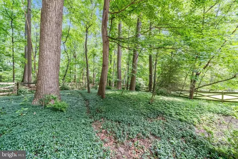Exterior - 1100 Notley Rd, Silver Spring, MD 20904 photo 10 of 13