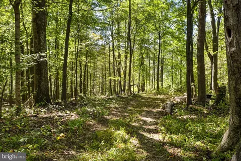 Other - 16112 Barnesville Rd, Boyds, MD 20841 photo 30 of 31