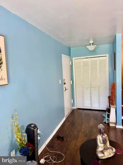 Entry Way - 2305 Greenery Ln #204-3, Silver Spring, MD 20906 photo 1 of 2