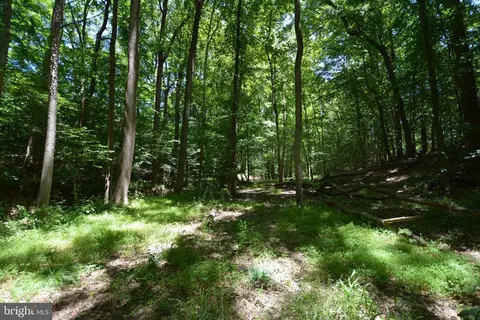 Democracy Boulevard, Potomac, MD 20854 photo 6