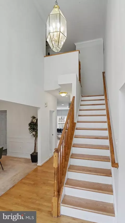 Entry Way - 14308 Big Bear Ct, Silver Spring, MD 20906 photo 12 of 19