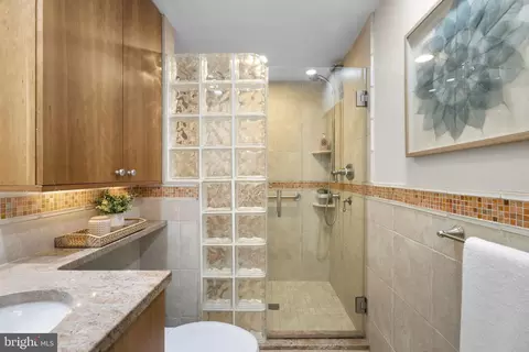 Bath - 12806 Gaffney Rd, Silver Spring, MD 20904 photo 3 of 4