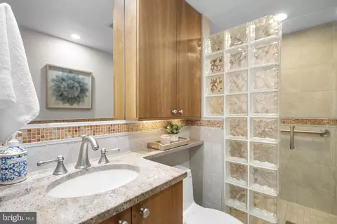 Bath - 12806 Gaffney Rd, Silver Spring, MD 20904 photo 4 of 4