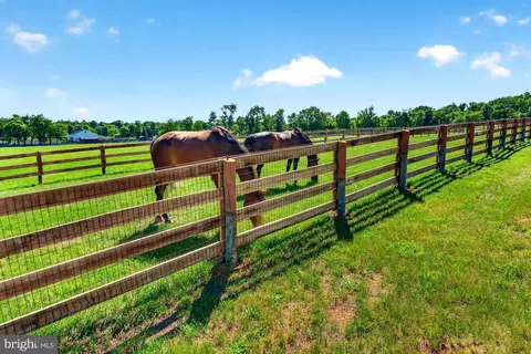Other - 15512 Mount Nebo Rd, Poolesville, MD 20837 photo 4 of 48