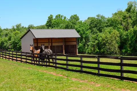 Other - 18101 Cattail Rd, Poolesville, MD 20837 photo 25 of 25
