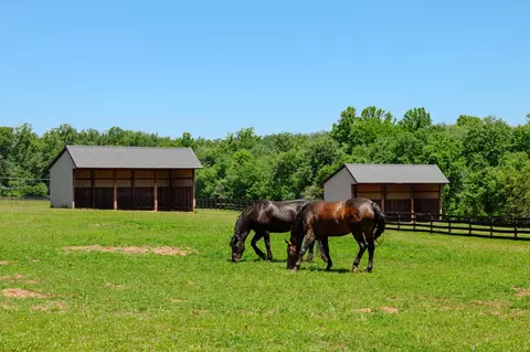 Other - 18101 Cattail Rd, Poolesville, MD 20837 photo 5 of 25