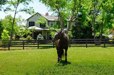 Other - 18101 Cattail Rd, Poolesville, MD 20837 photo 11 of 25