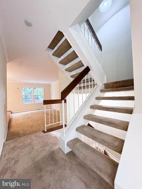 Entry Way - 10939 Pebble Run Dr, Silver Spring, MD 20902 photo 5 of 6