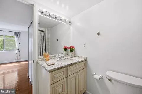 Bath - 15100 Interlachen Dr #4-124, Silver Spring, MD 20906 photo 6 of 6